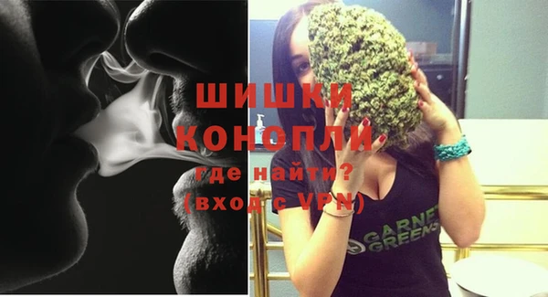 молекула духа Балахна