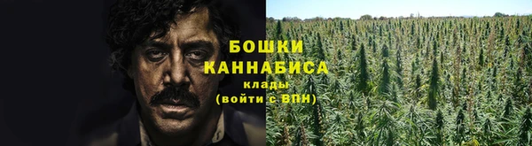 шишки Балабаново