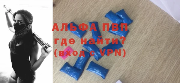 молекула духа Козельск