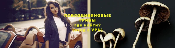 стафф Баксан