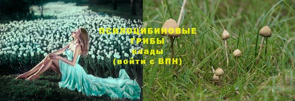 стафф Баксан
