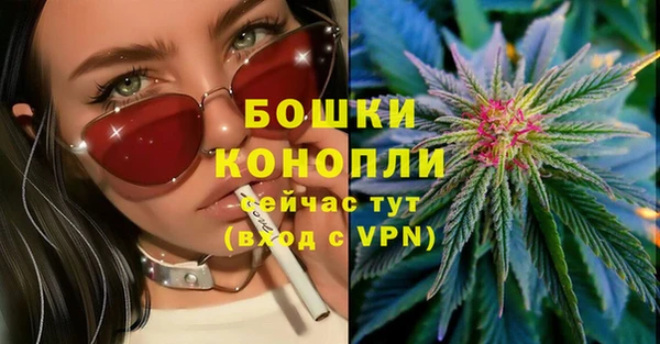 молекула духа Балахна